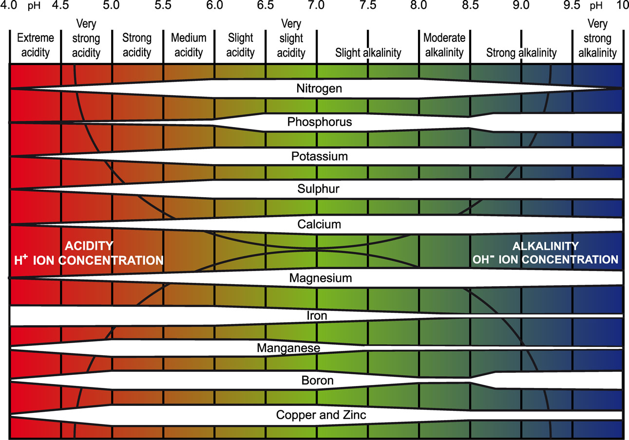 the availability of different nutrients based on soil pH
اثر پی‌اچ خاک بر دسترسی عناصر برای ریشه